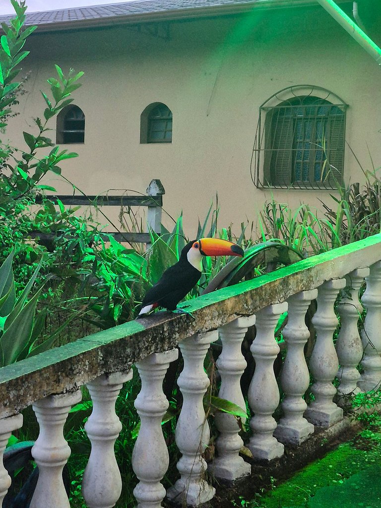 Suíte Standard Tripla (Solteiro)