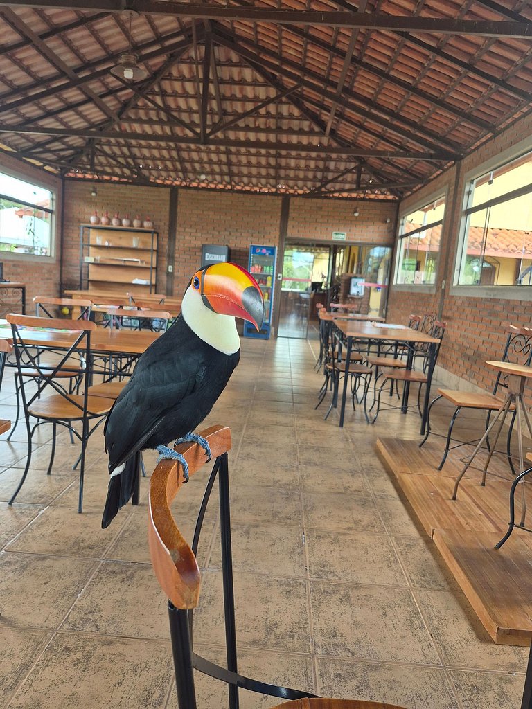 Suíte Standard Tripla (Solteiro)