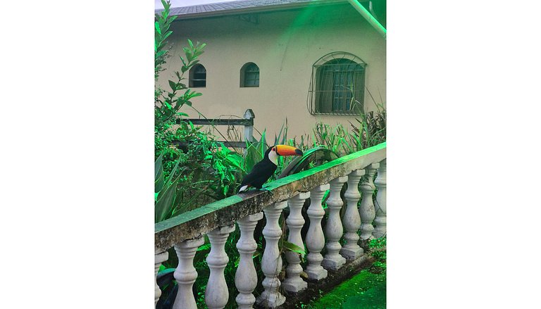 Suíte Standard Casal